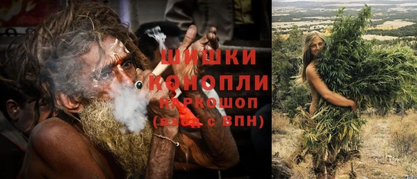 альфа пвп Новодвинск