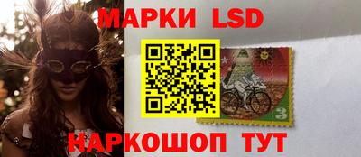 индика Жуковский