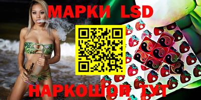 индика Жуковский