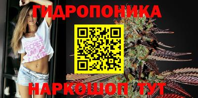Альфа ПВП Заволжье