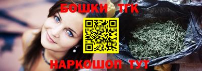 индика Жуковский