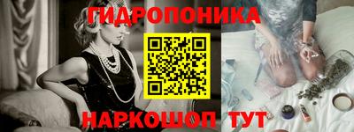 spice Заводоуковск