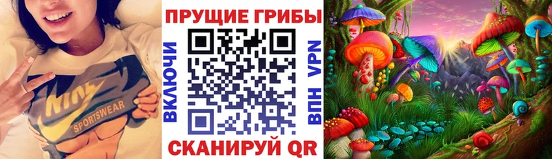 Псилоцибиновые грибы Psilocybe  купить наркотики сайты  darknet какой сайт  Санкт-Петербург 