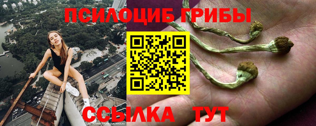 Галлюциногенные грибы GOLDEN TEACHER  Вход с VPN  Санкт-Петербург 