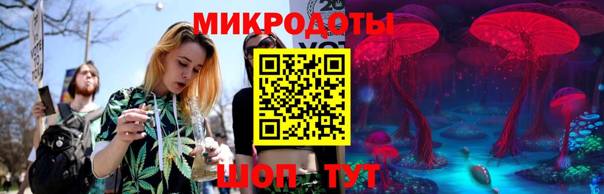 Псилоцибиновые грибы мицелий Санкт-Петербург